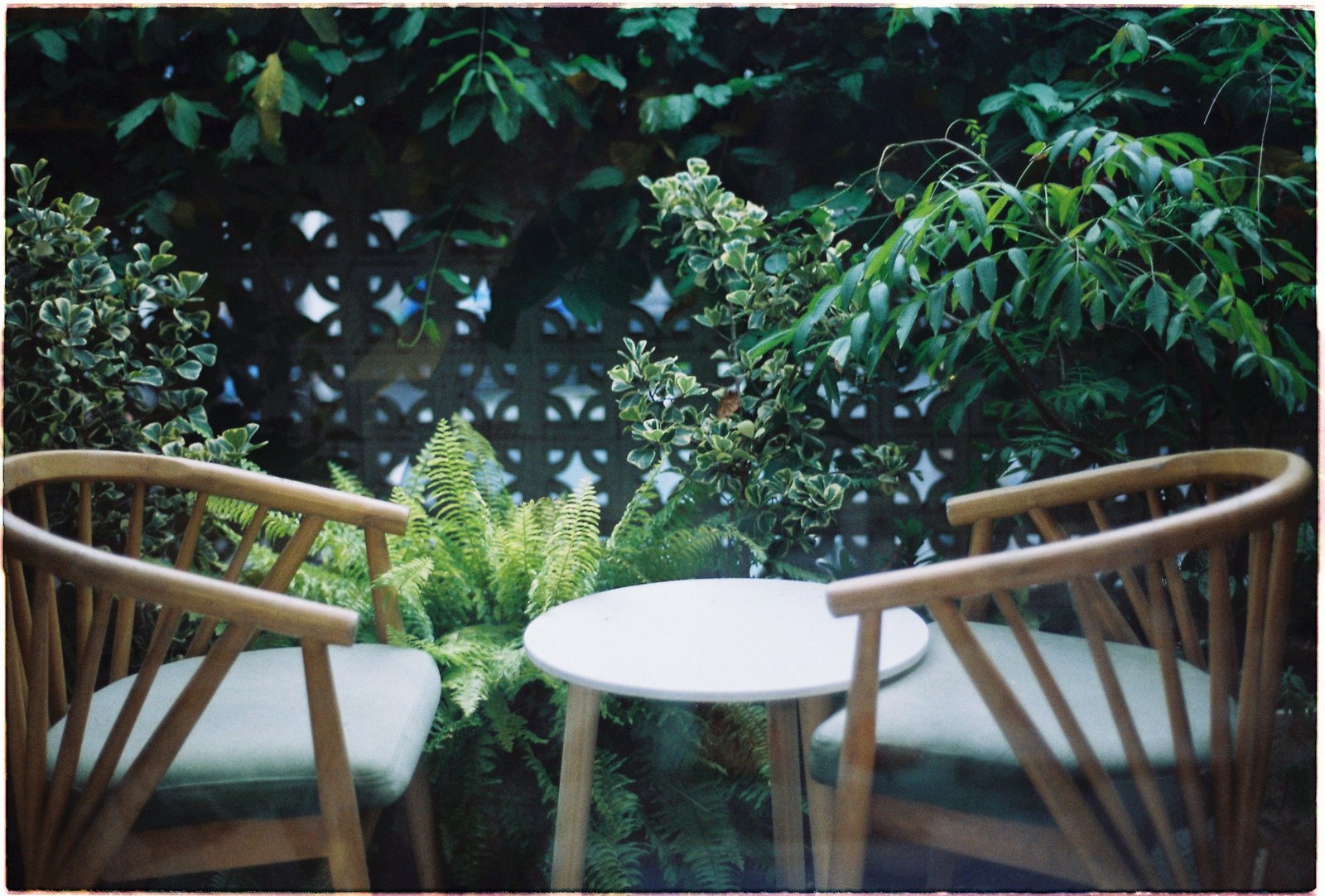 Senior Citizen Area
